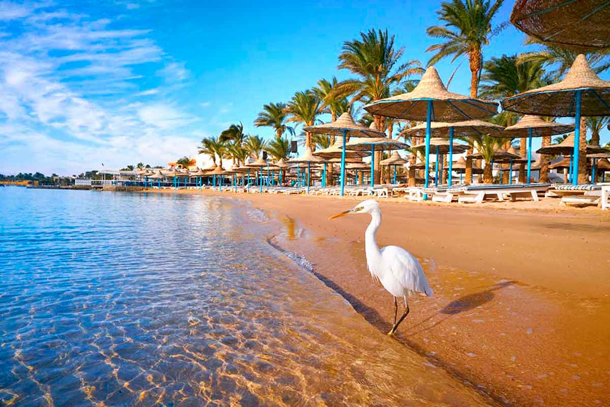 tips for travelling to hurghada
