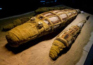 Animal Mummies in Egypt